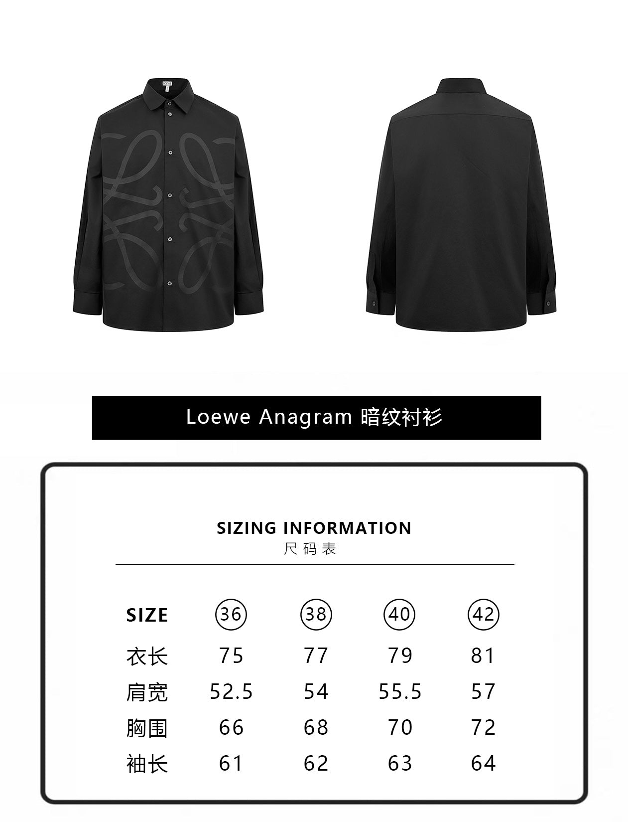 ZZLL / Loewe Shirt