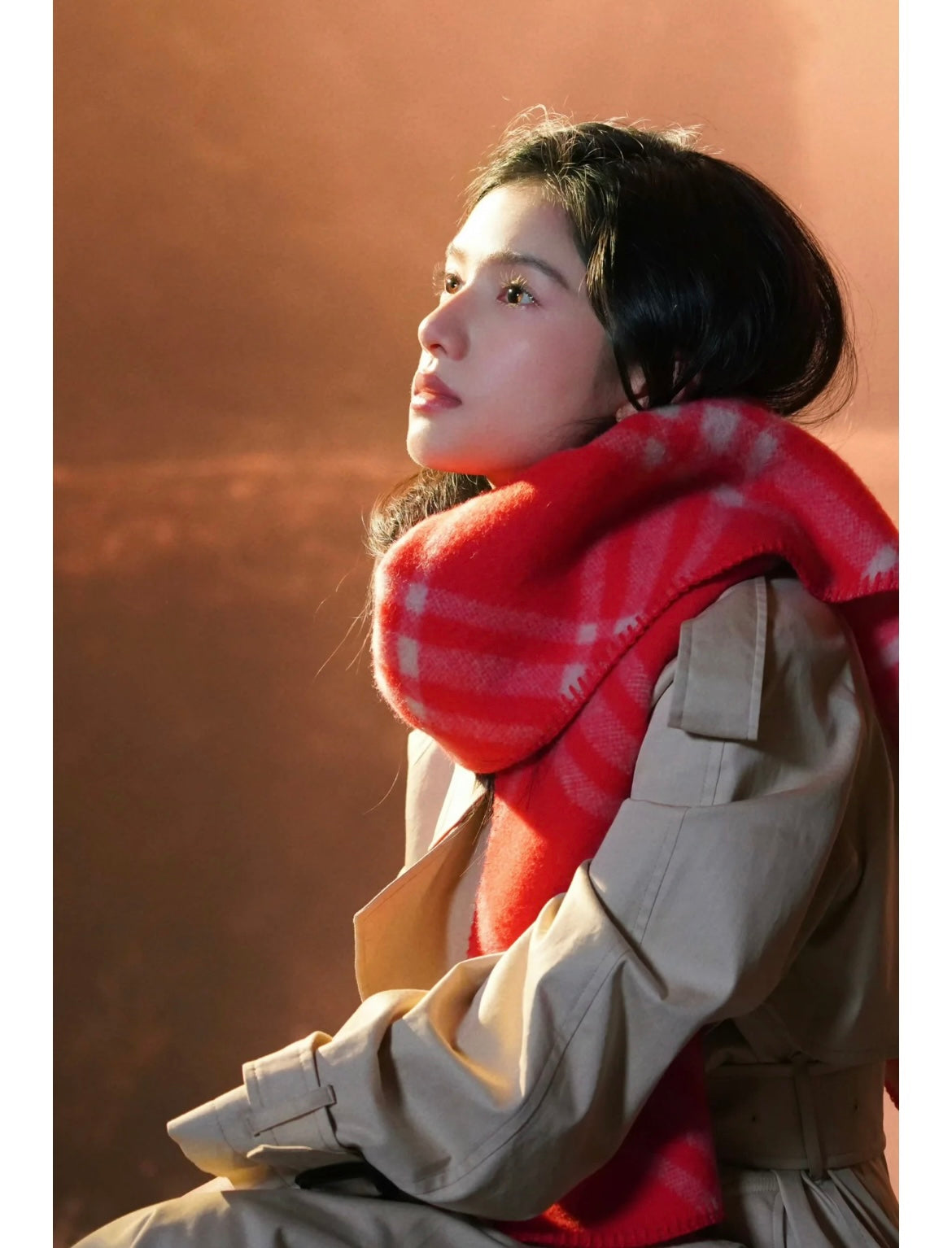 신조 / 버버리 스카프