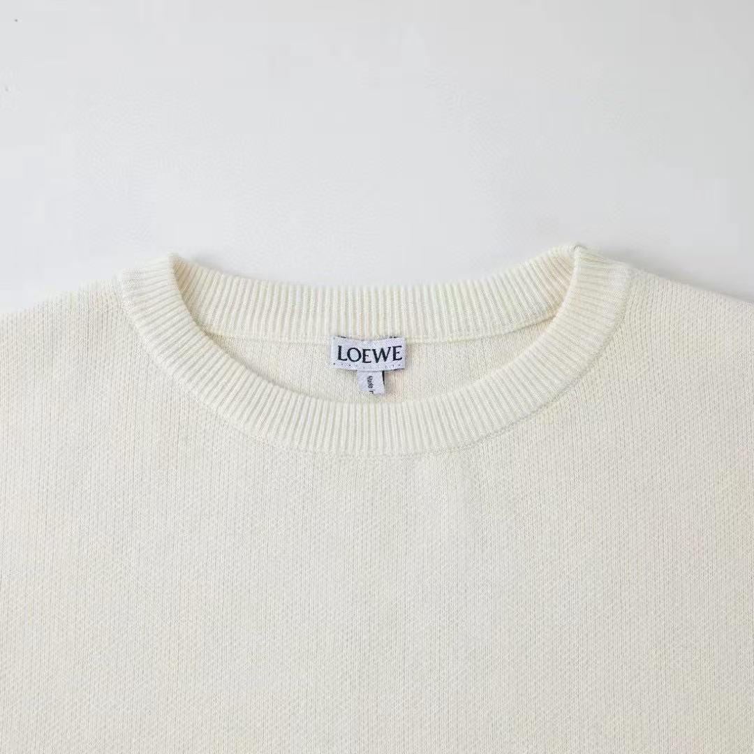 주말QZ / 로에베 니트