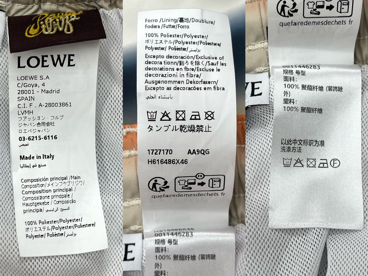 BVG / 로에베 수영 반바지