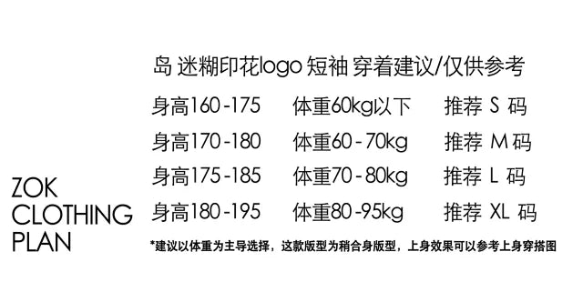 ZOK / 스톤 반팔티