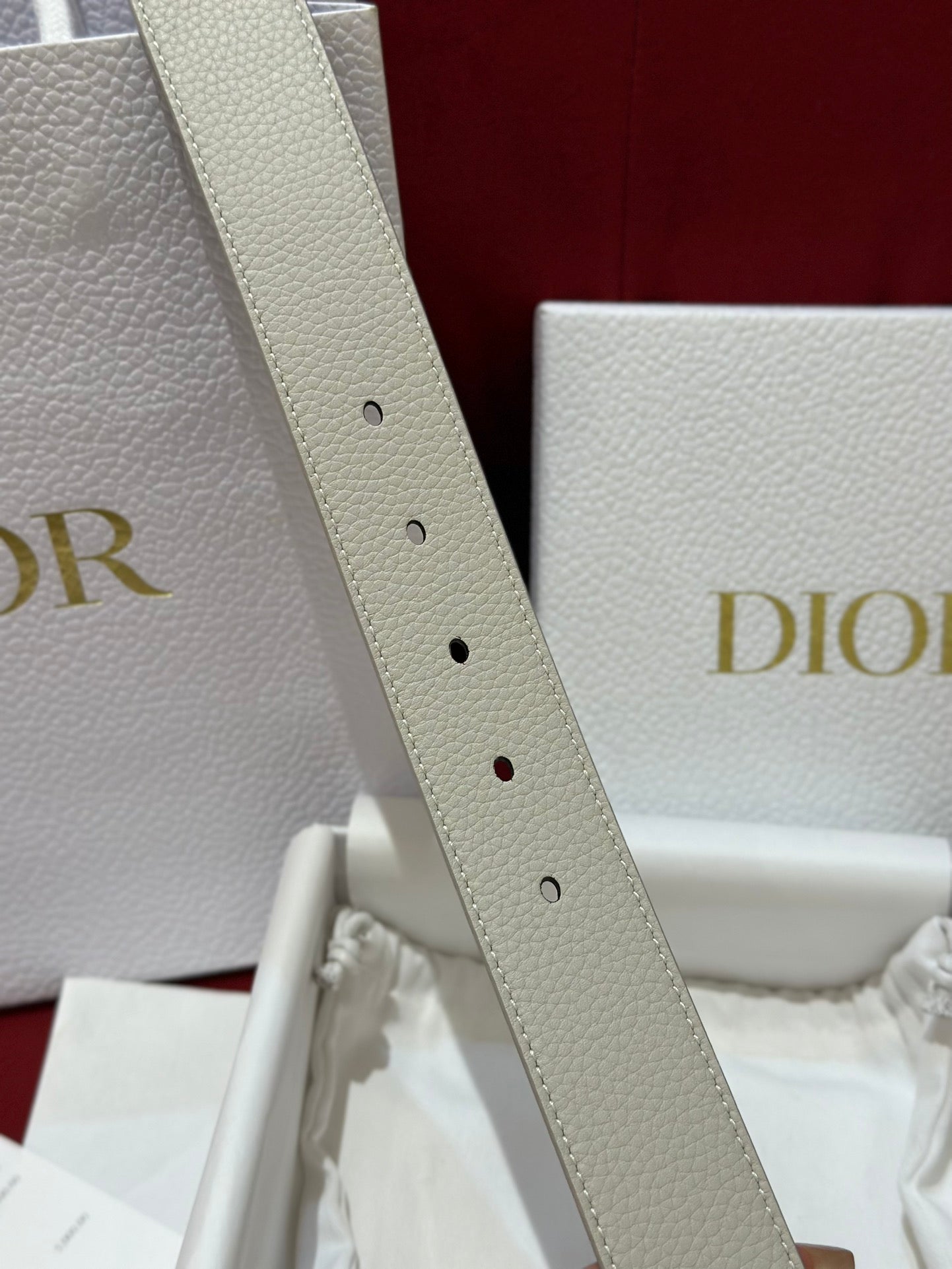 Dior belt