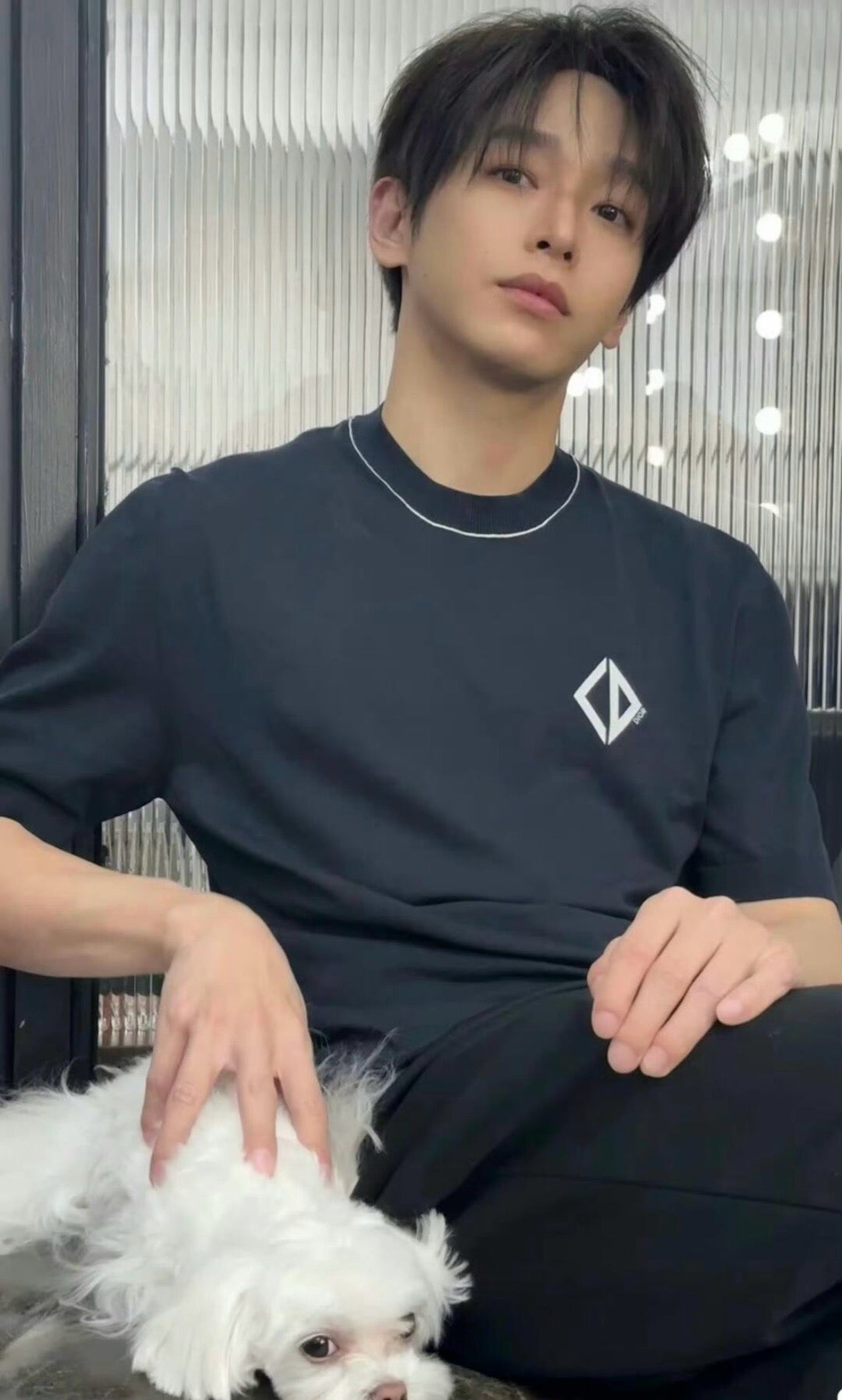 사슬 / 디올 남성  캐주얼 라운드 반팔 티셔츠