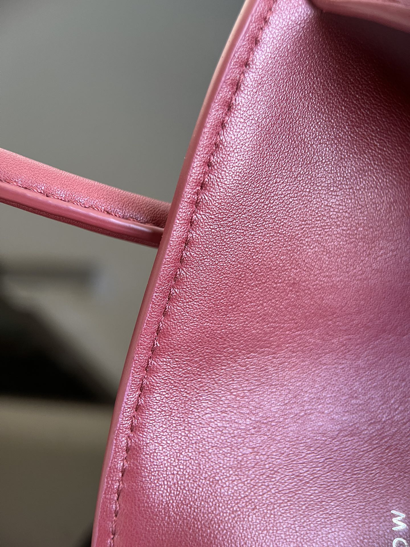 The Row handbag