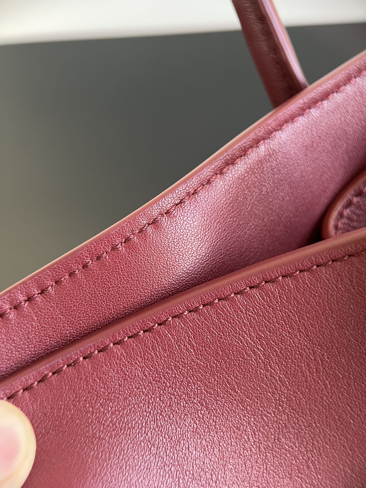 The Row handbag