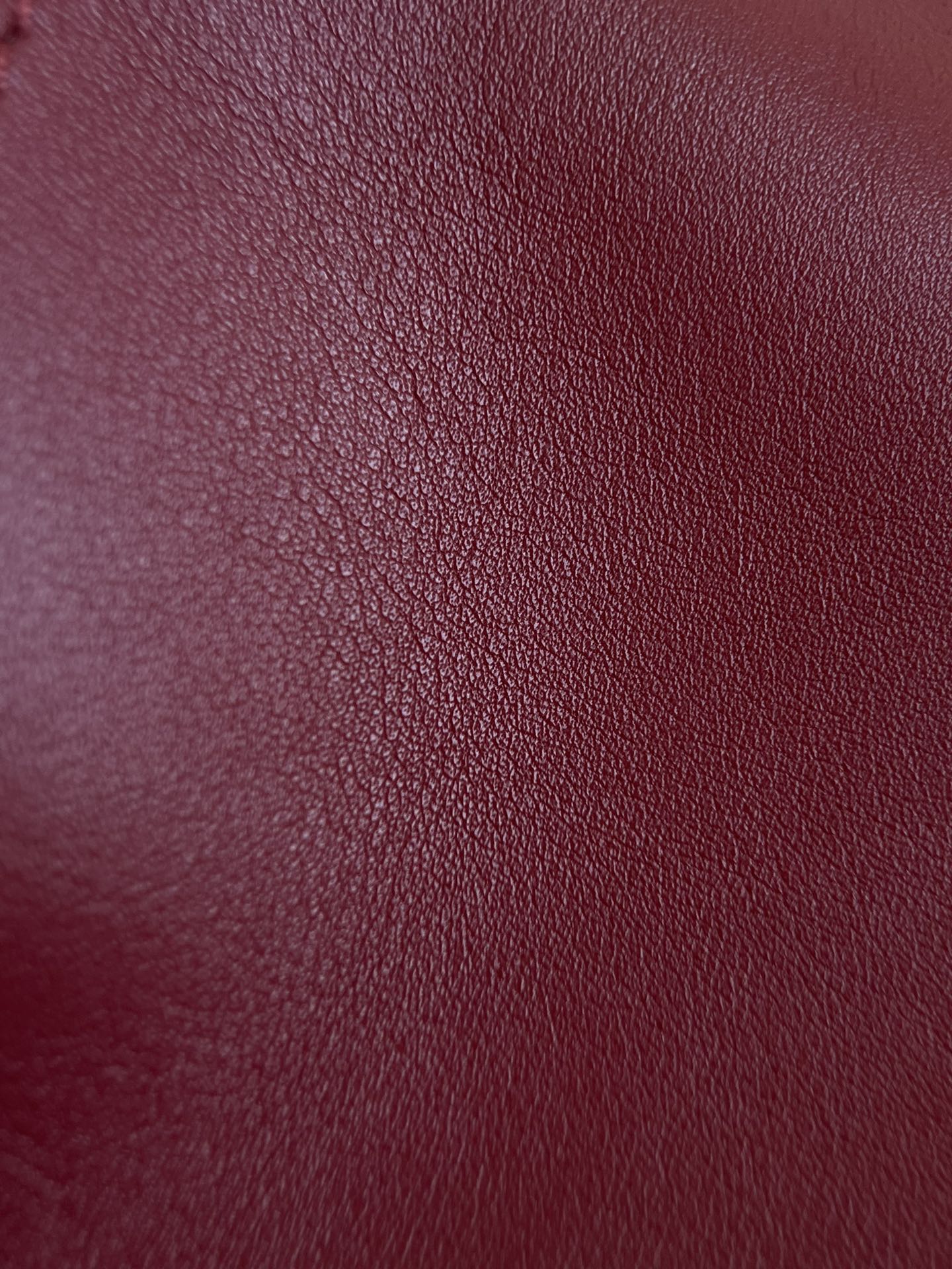 The Row handbag