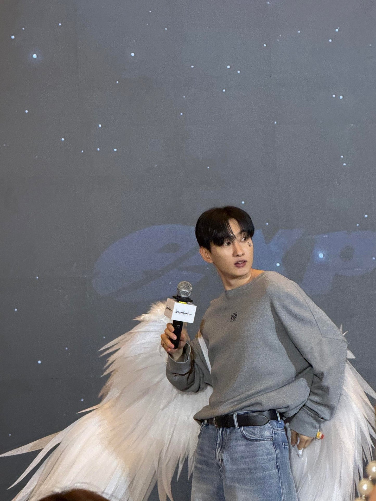 ZZLL / 로에베 긴팔티