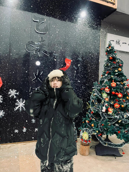 ZZLL / 펜디 패딩