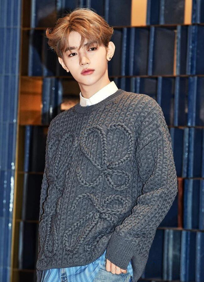 ZZLL / 로에베 니트 스웨터