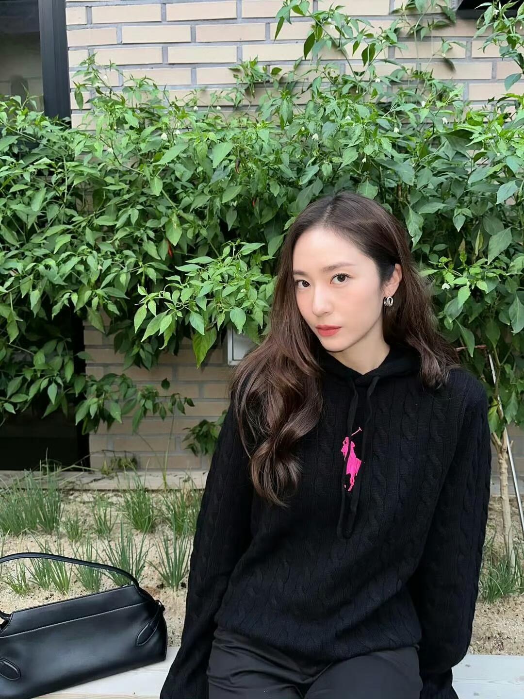 ZZLL / 폴로 니트 스웨터