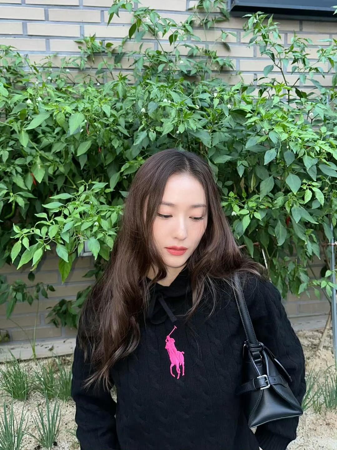 ZZLL / 폴로 니트 스웨터