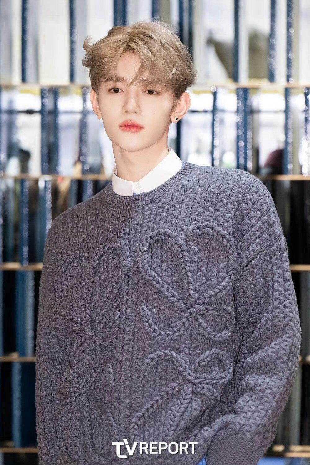 BVG / 로에베 니트 스웨터