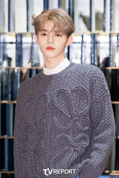 BVG / 로에베 니트 스웨터