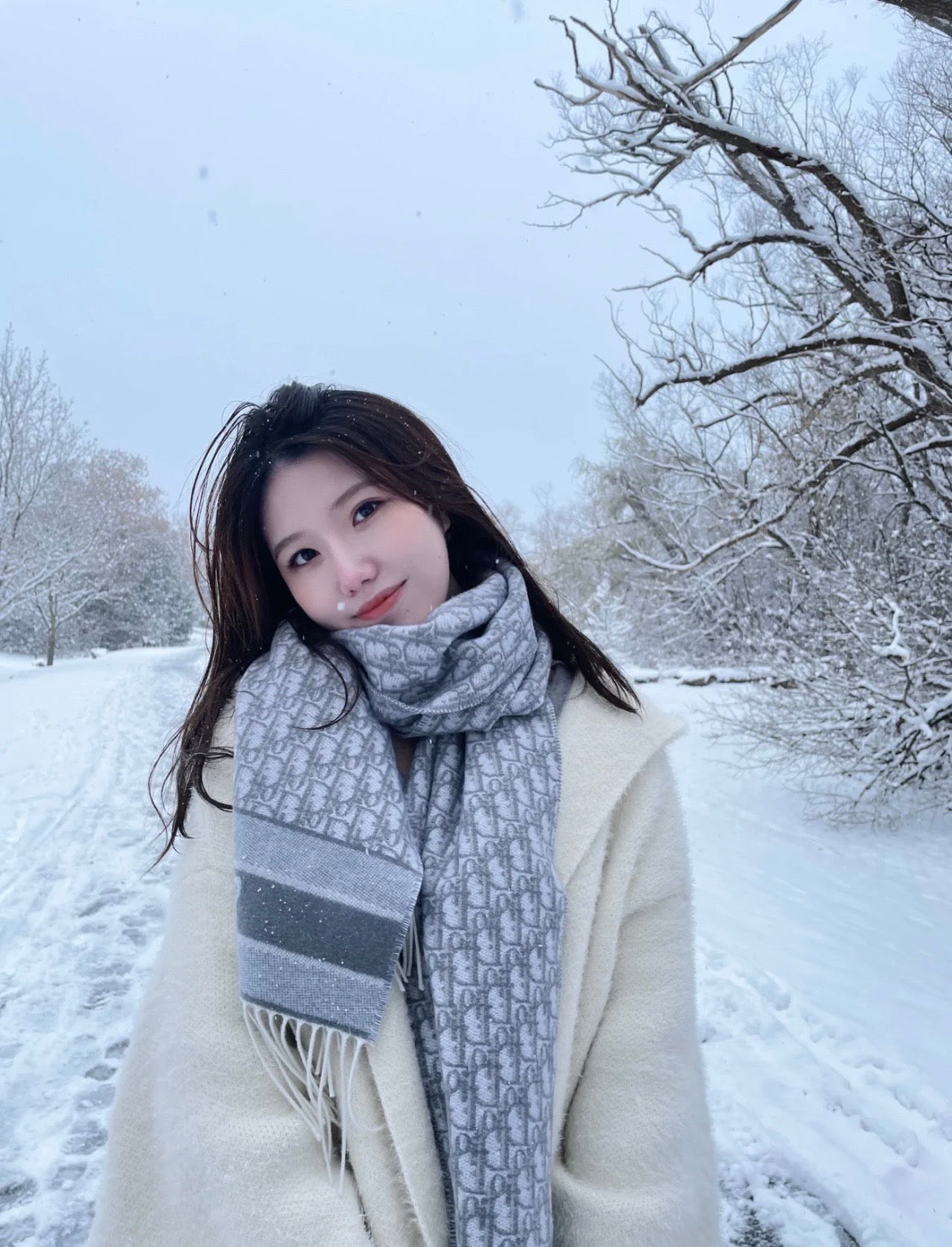 신조 / 디올 스카프