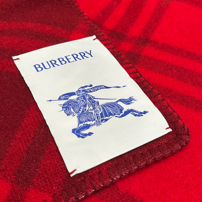 Shinzo / Burberry Scarf