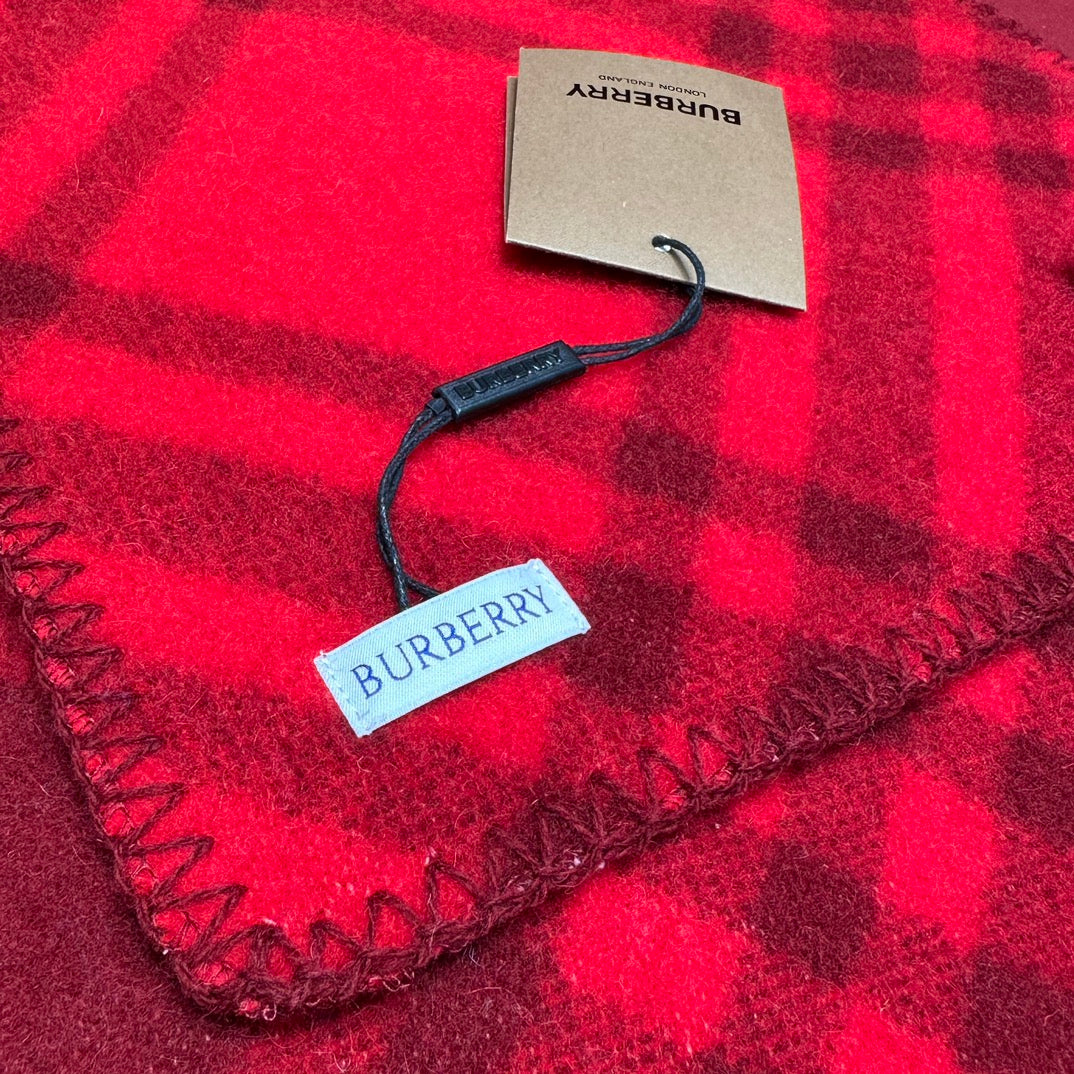 Shinzo / Burberry Scarf