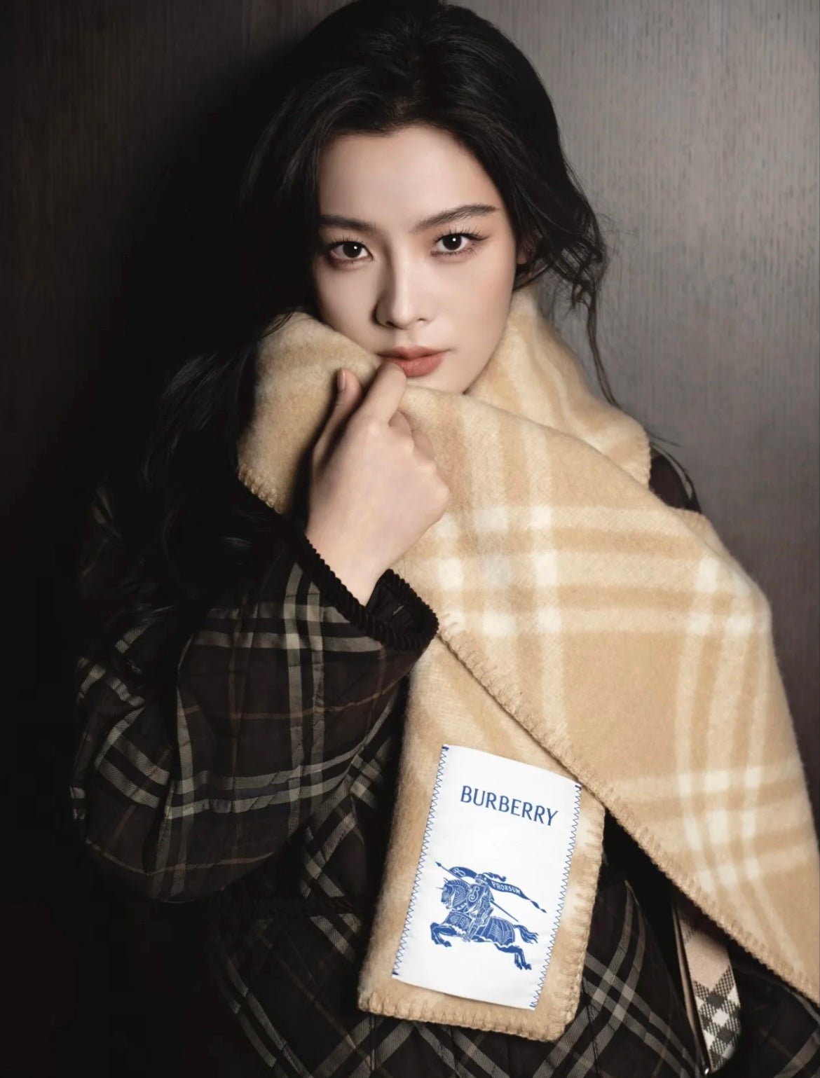 신조 / 버버리 스카프