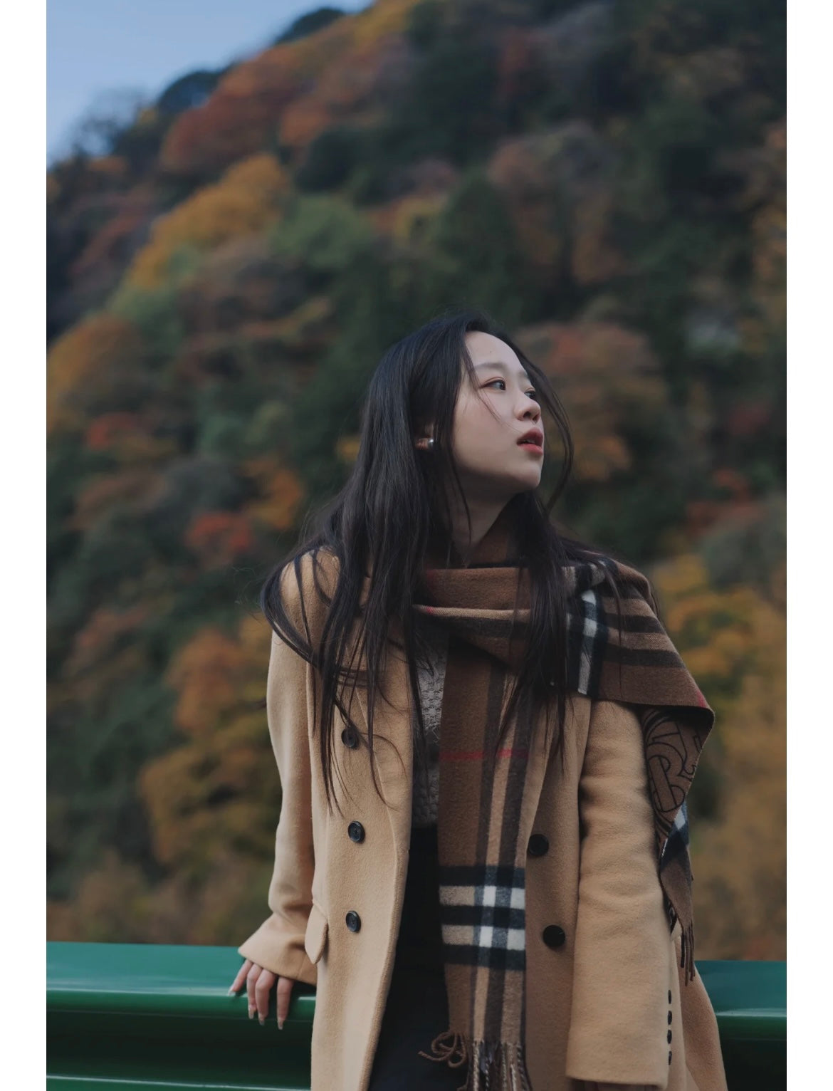 신조 / 버버리 스카프
