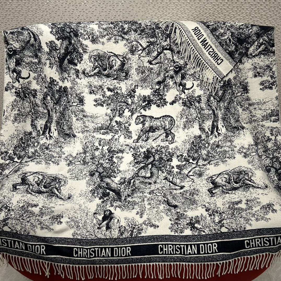 Shinjō / Dior scarf