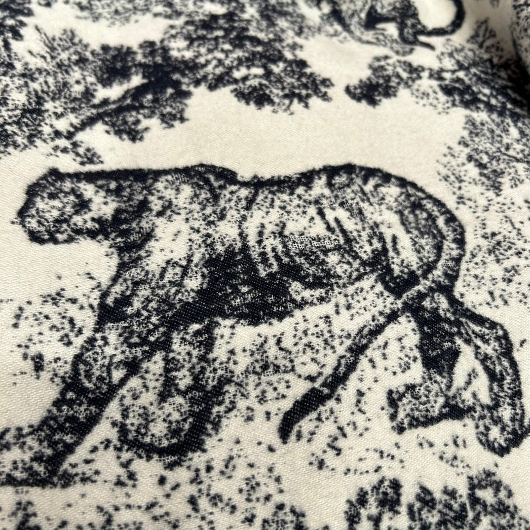 Shinjō / Dior scarf
