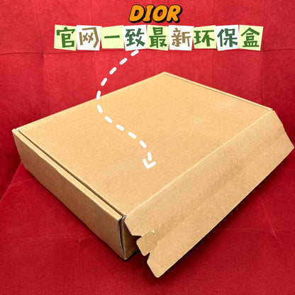 Shinjō / Dior scarf