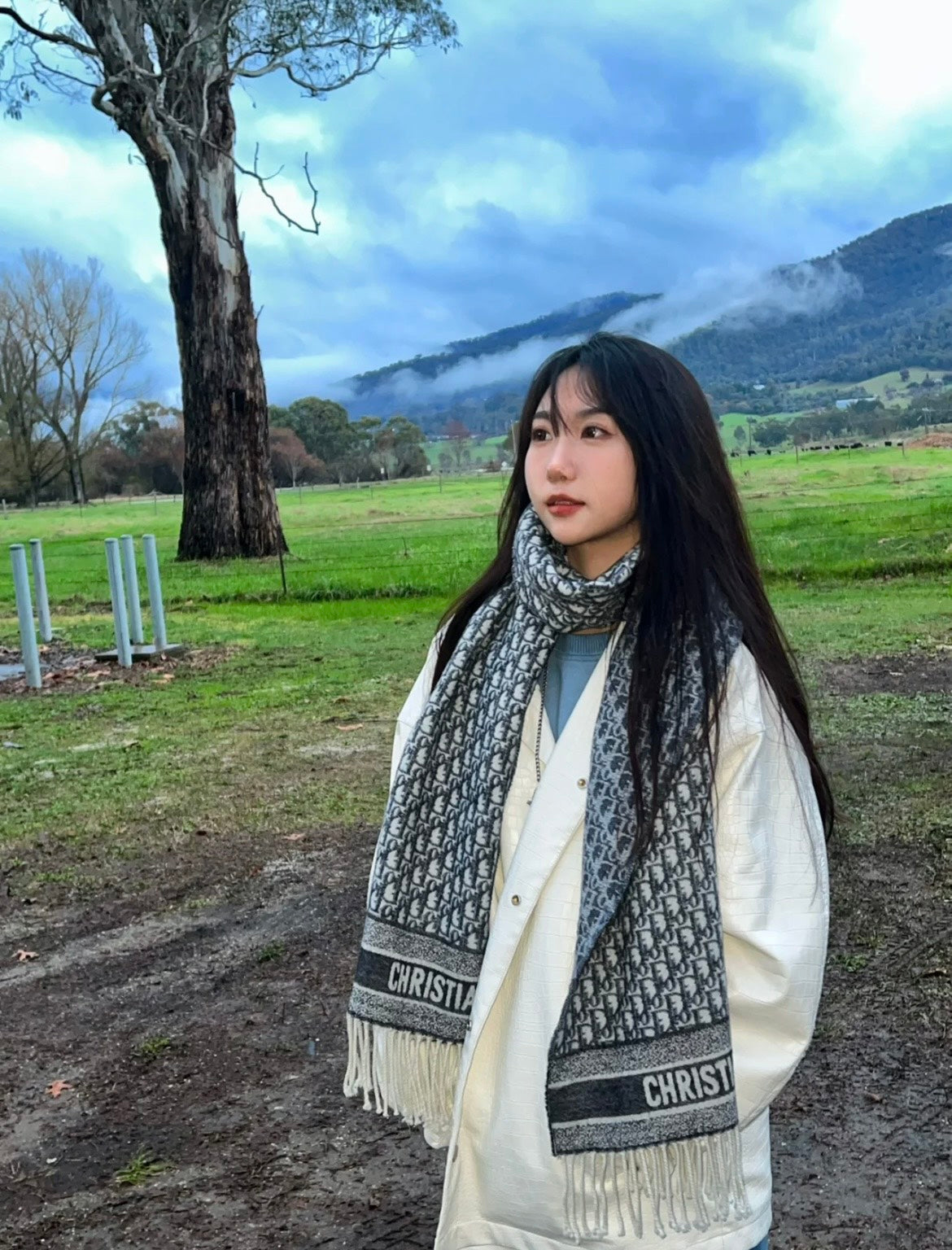 신조 / 디올 스카프