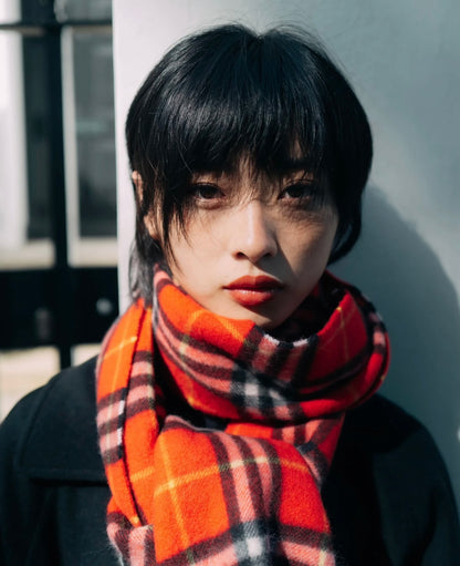 신조 / 버버리 스카프