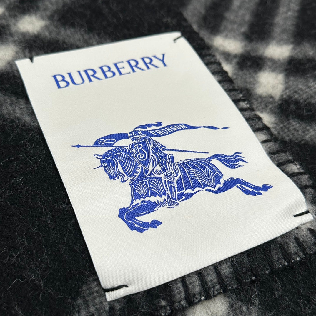 Shinzo Abe / Burberry Scarf