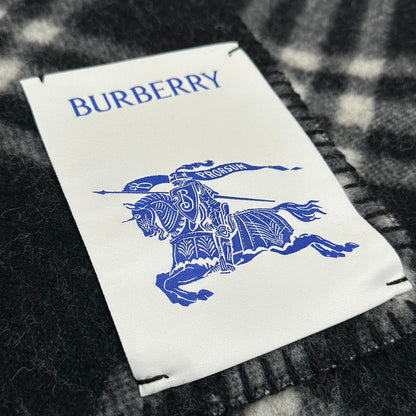 Shinzo Abe / Burberry Scarf