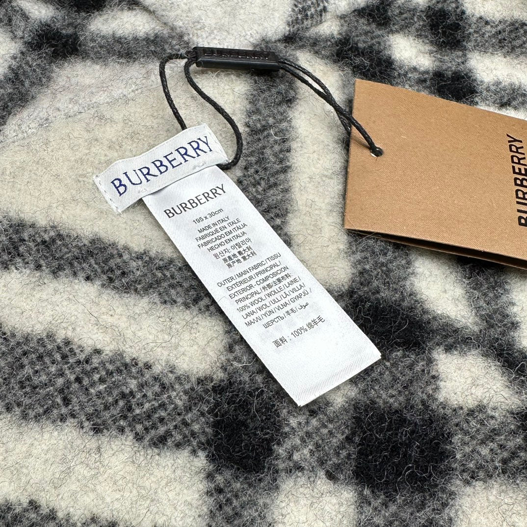 Shinzo Abe / Burberry Scarf