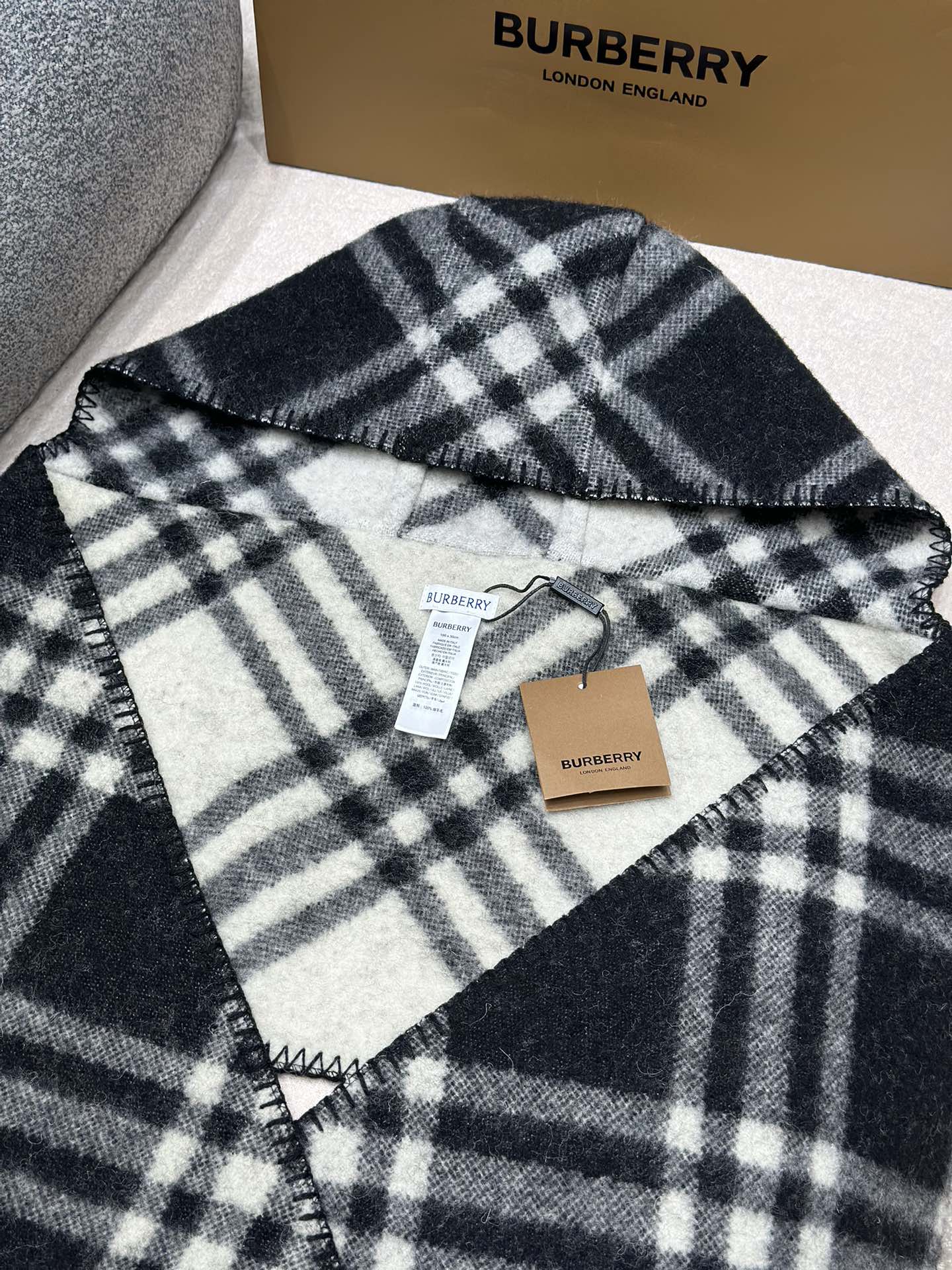 Shinzo Abe / Burberry Scarf