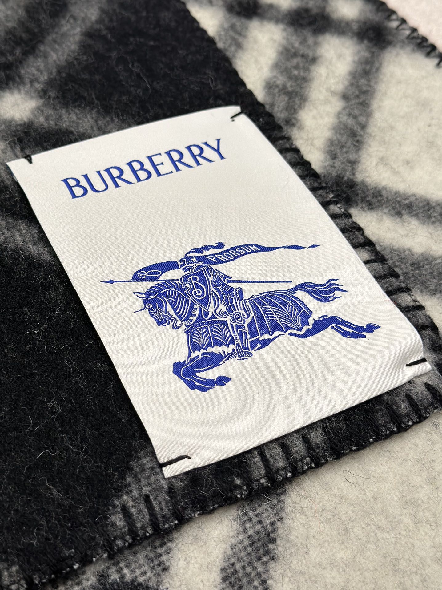 Shinzo Abe / Burberry Scarf