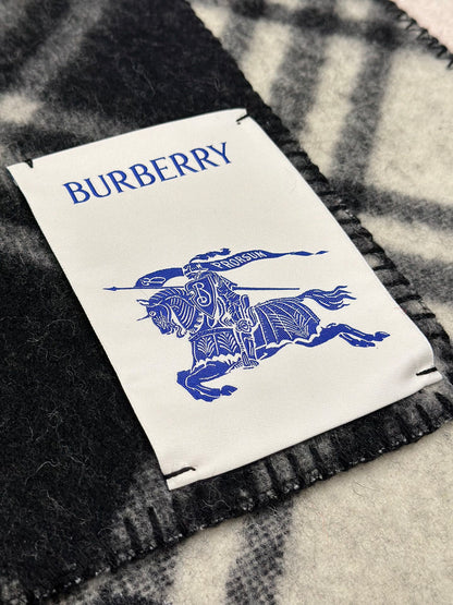 Shinzo Abe / Burberry Scarf