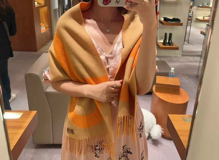 신조 / 에르메스 스카프