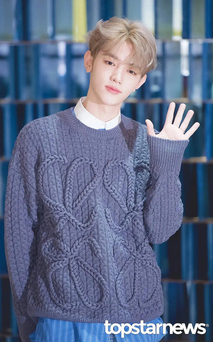 BVG / 로에베 니트 스웨터