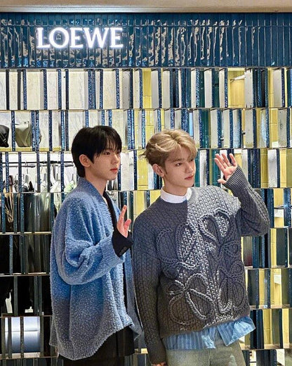 BVG / 로에베 니트 스웨터