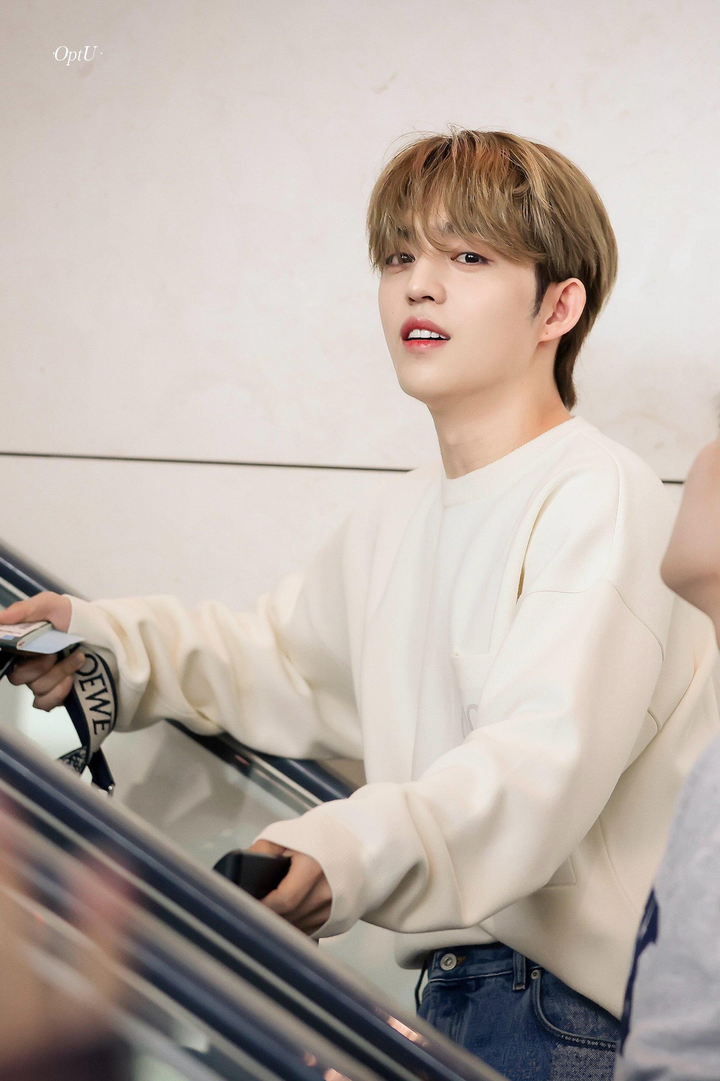 BVG / 로에베 니트 스웨터
