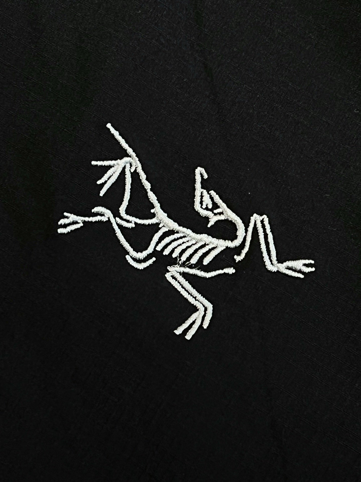 V공장 / 아크테릭스 반바지