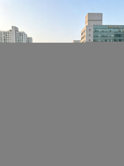 마이골프 / 골프 여름 신상 여성 반팔
